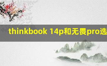 thinkbook 14p和无畏pro选哪个